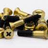 TRIPIN | Gold Rush | Phillips Colored Hardware Set - 图片 2